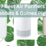 The 7 Best Air Purifiers for Rabbits & Guinea Pigs (2026 Reviews)