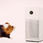 The 2026 Zero-Ozone Registry: Verified Safe Air Purifiers for Sentinel Species